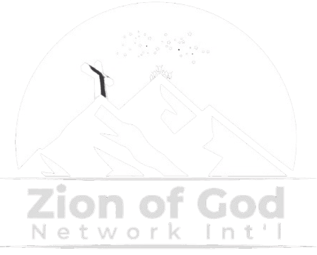 ZNI logo